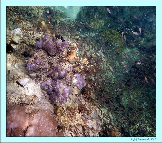 2012 - 03 - Koh Kradan 04